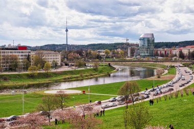 Yürüyen Sakura kiraz ağacı çiçeği Bahçe şehir Vilnius, insanlar
