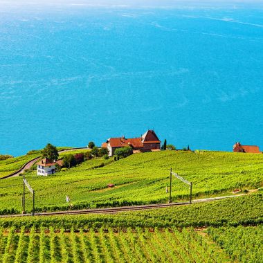 Demiryolu hattı, Lavaux Vineyard teraslar Cenevre Gölü