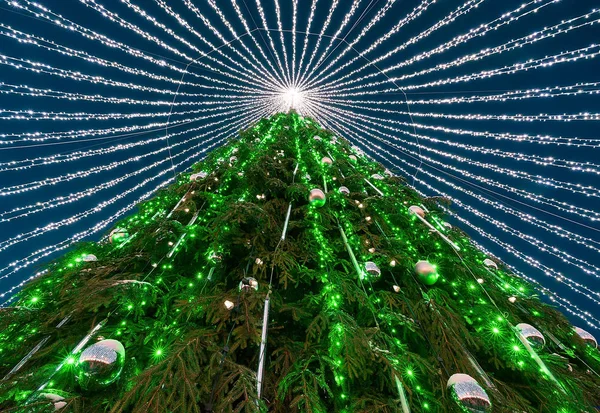 Christmas tree with garlands installed at Vilnius square at Advent — Stock Photo, Image