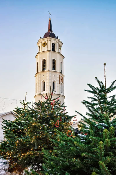 Árbol de Navidad y campanario de la Catedral de Vilna Lituania antes de Navidad —  Fotos de Stock