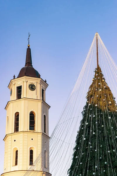 Noel ağacı ve katedral çan kulesi Vilnius Litvanya Advent