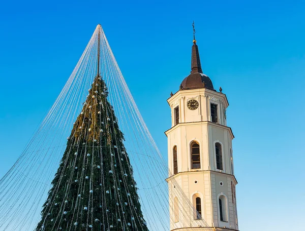 Christmas tree and Cathedral bell tower Vilnius in Lithuania Advent