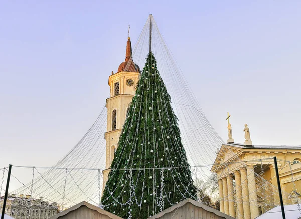 Arbre de Noël et clocher de la cathédrale Vilnius avant Noël — Photo