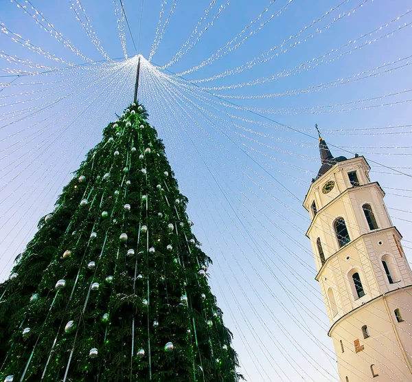 Árbol de Navidad y campanario Catedral Vilna Adviento Lituania noche —  Fotos de Stock