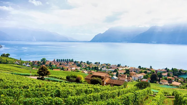 Aldeia suíça perto de Lavaux Vineyard Terrace trilha de caminhadas na Suíça — Fotografia de Stock