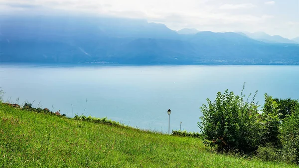 ラヴォー スイスの自然 — ストック写真