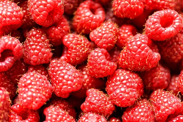 Köstliche frische Himbeere Hintergrund aus nächster Nähe — Stockfoto