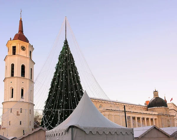 Árbol de Navidad y campanario de la Catedral Lituania Vilnius en Adviento —  Fotos de Stock