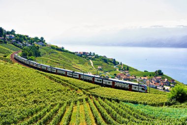 Lavaux bağ teraslar Cenevre Gölü İsviçre Alpleri yakınındaki, tren