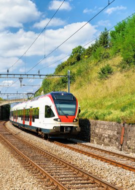Lavaux bağ izi İsviçre hiking Terraces adlı tren