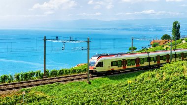 Lavaux bağ Terraces adlı Cenevre Gölü Alp Dağları, tren