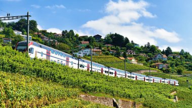 Lavaux bağ Teras hiking trail İsviçre tren