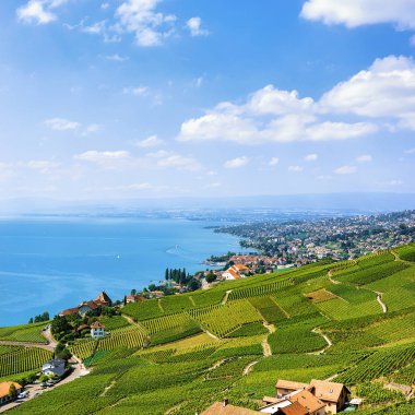 Lavaux bağ izi İsviçre hiking teraslar yakınındaki İsviçreli chalets