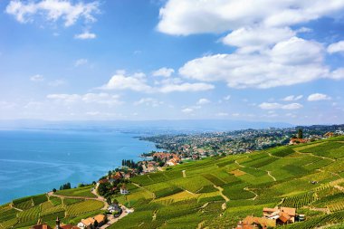 Lavaux bağ izi İsviçre hiking Teras yakınındaki İsviçreli chalets