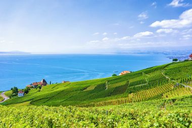 İsviçre İsviçreli chalets adlı Lavaux bağ teraslar hiking trail