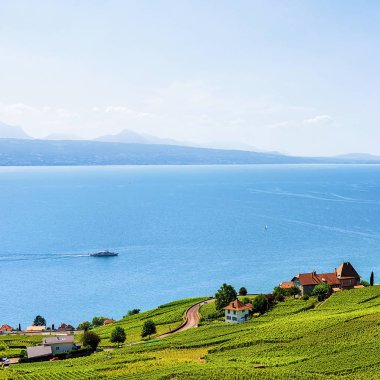 İsviçre İsviçre ev Lavaux bağ Teras hiking trail
