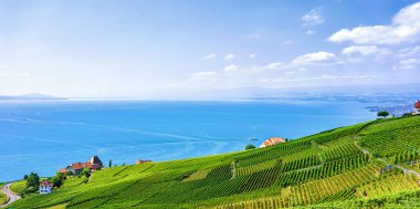 İsviçre Lavaux bağ izi İsviçre hiking Teras evlerde