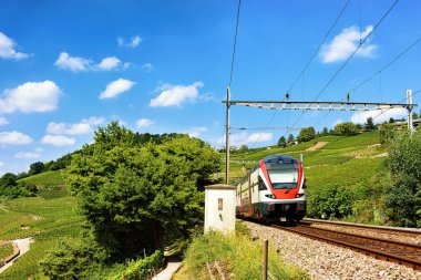 Tren Lavaux bağ izi İsviçre hiking teraslar halinde çalışan