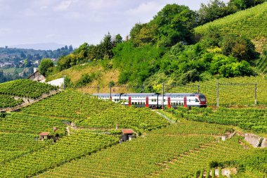 Lavaux bağ izi İsviçre hiking Terraces adlı tren çalıştıran