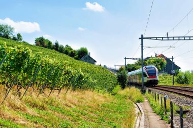 Lavaux bağ izi İsviçre hiking Teras, tren çalıştıran