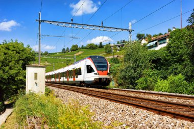 Tren Lavaux bağ izi İsviçre hiking terasında çalıştıran