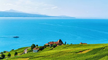 Lavaux bağ izi Swiss hiking teraslar