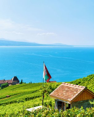 Lavaux bağ teraslar yürüyüş rota İsviçre