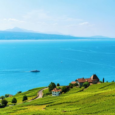 Lavaux bağ Teras Swiss iz hiking
