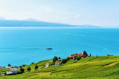Lavaux bağ Teras İsviçre