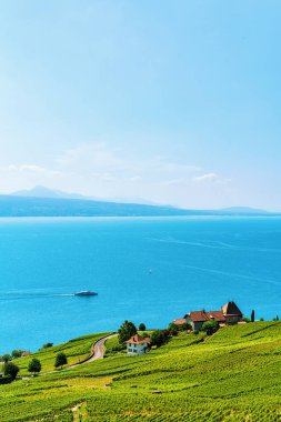Lavaux bağ Teras hiking trail İsviçre