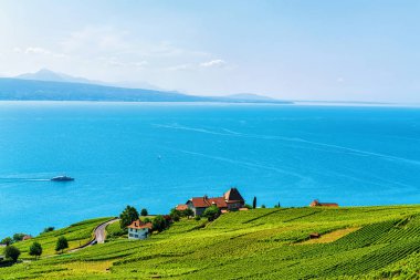 Lavaux bağ Teras hiking trail İsviçre