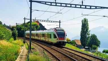 Bağ Teras Lavaux Cenevre Gölü Alps yakınındaki tren