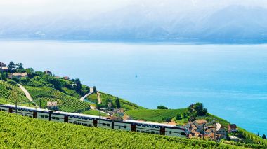 Bağ teraslar halinde Lavaux Cenevre Gölü Alps, tren