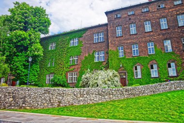 Sigarasız, iç avlu Wawel Kalesi Krakow