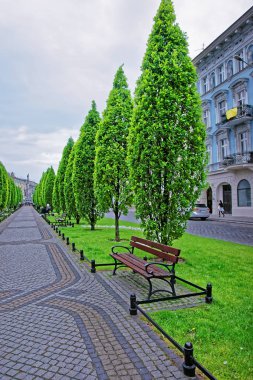 Tezgah Poznan Marcinkovsky sokakta park