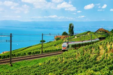 Lavaux bağ teraslar Cenevre Gölü Alpleri'nde demiryolu, tren