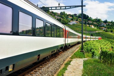Tren ve demiryolu yakınındaki Lavaux bağ Teras