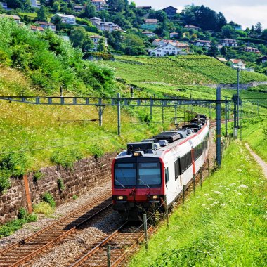 Tren bağ teraslar Lavaux Switzerlan içinde çalışan İsviçre