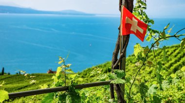 Lavaux Switzerla İsviçre bayrağı bağ teraslar hiking trail
