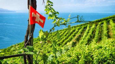 Lavaux Switzerla İsviçre bayrağı, bağ teraslar hiking trail