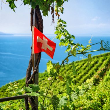 Lavaux Switzerla içinde İsviçre bayrağı bağ hiking teraslar, iz