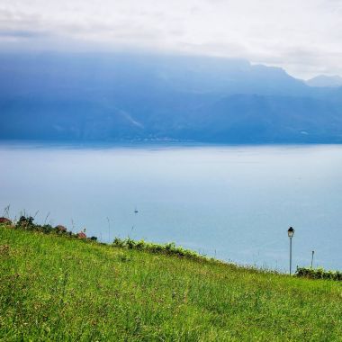 Lavaux İsviçre, doğa