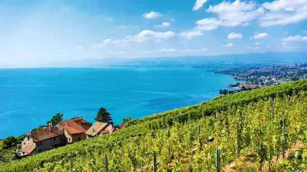 Vesnice na terase Vinice Lavaux pěší stezka Švýcarsko — Stock fotografie