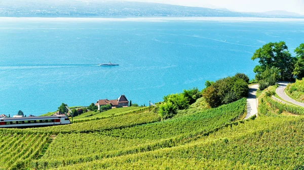 Vlak v Lavaux vinice terasy u Ženevského jezera alpských hor — Stock fotografie