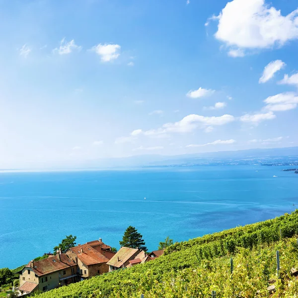 Švýcarské vesnice na Vinice Lavaux stezkou ve Švýcarsku — Stock fotografie