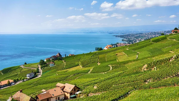 Švýcarské horské chaty na terase Vinice Lavaux pěší stezka Švýcarsko — Stock fotografie