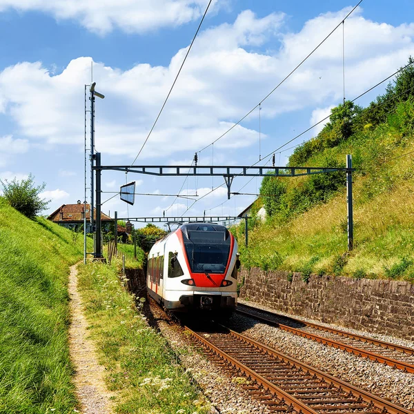 Tren cerca de Lavaux Vineyard Terraces Sendero de senderismo en Suiza — Foto de Stock