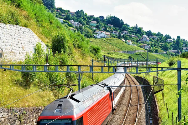 Tren en Lavaux Vineyard Terrazas Sendero de senderismo Suiza — Foto de Stock