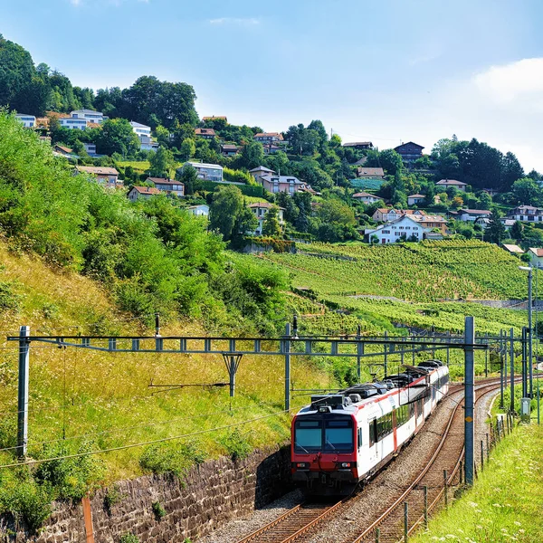 Tren en Lavaux Vineyard Terraza Sendero de senderismo Suiza — Foto de Stock