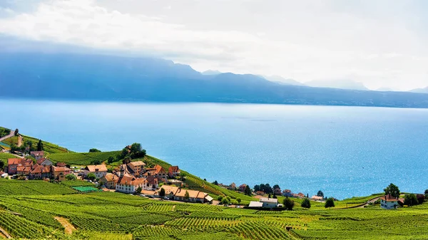 Lavaux Vineyard Terrace in Svizzera — Foto Stock